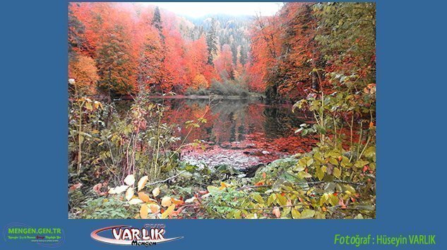 3 OCAK TA GÜNÜN FOTOĞRAFI