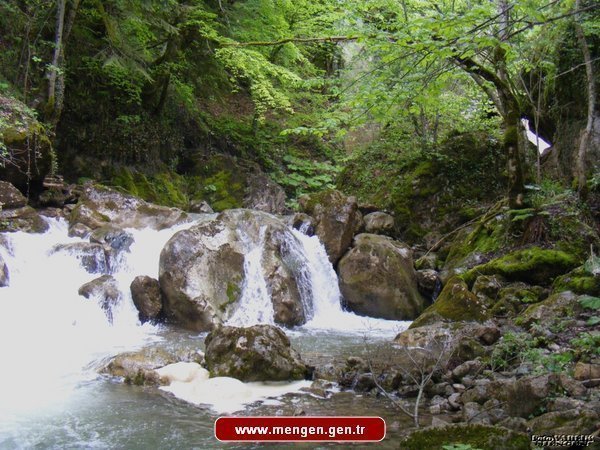 HIZARDERESİ ŞELALESİ (1)